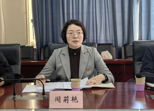 闵莉艳同志发言